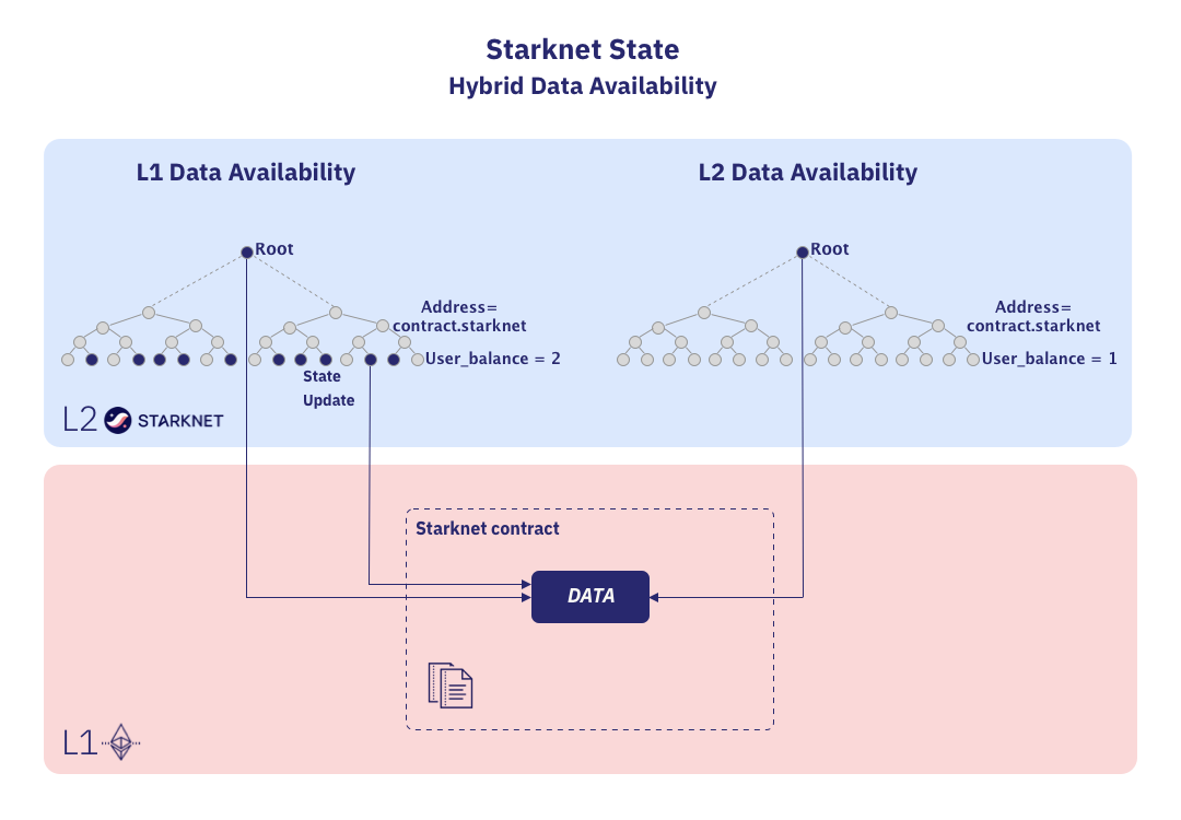L2 data availability (Volition state) 