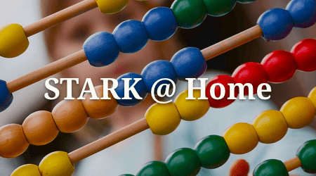 STARK @ Home 3: Let’s do Arithmetic: Why are polynomials used in succinct ZK proofs?