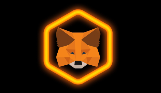 Metamask Snaps