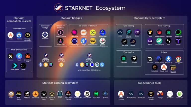 Starknet Starter Pack: Your Guide to the ZK Rollup Ecosystem