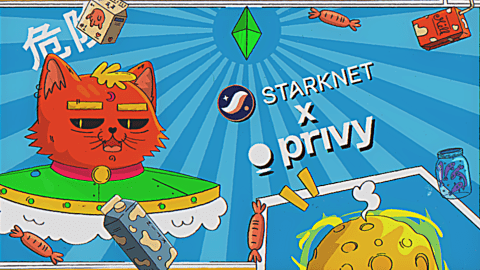 Privy Brings Seamless Embedded Wallets to Starknet