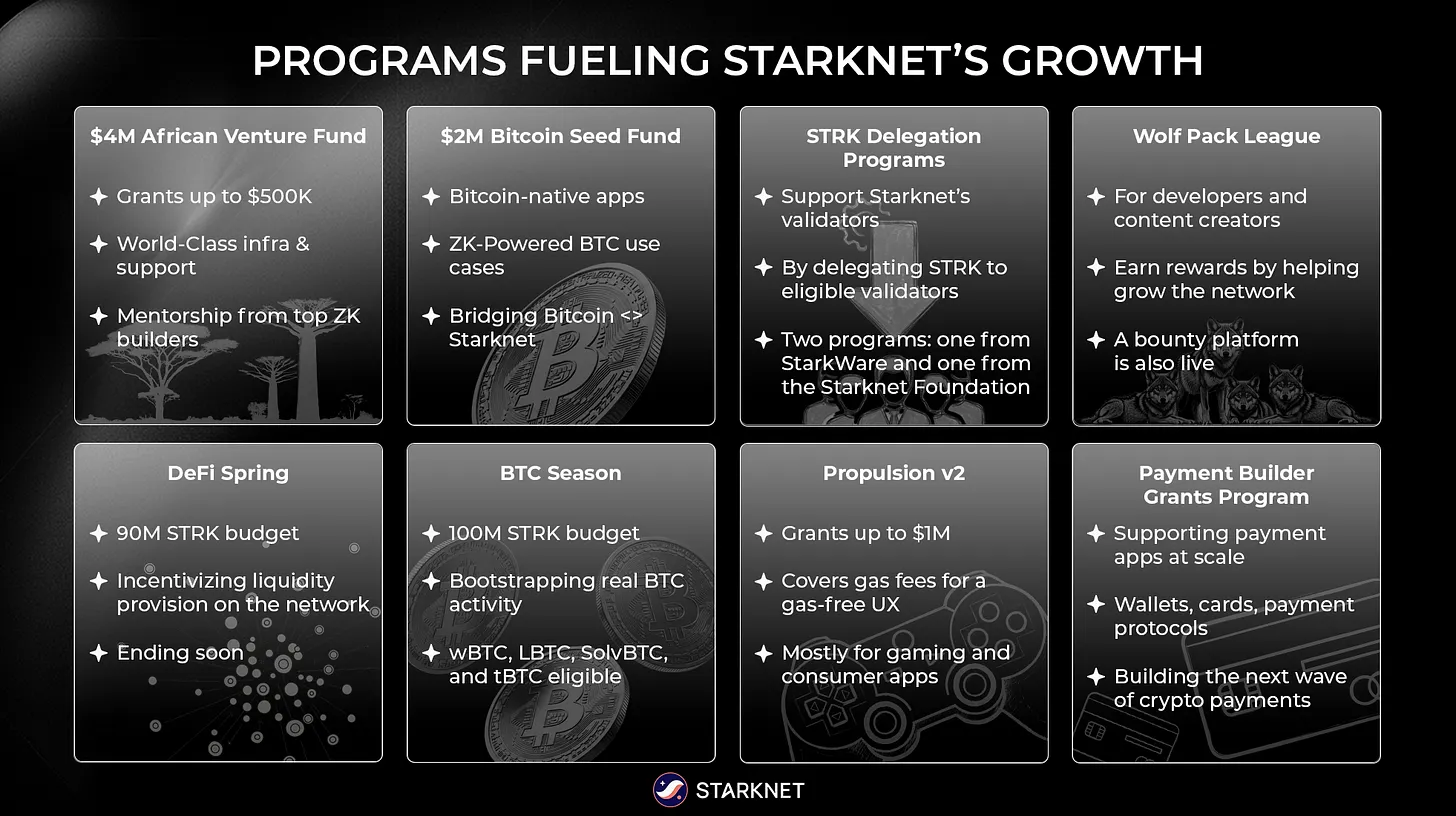 Programs fueling Starknet's growth