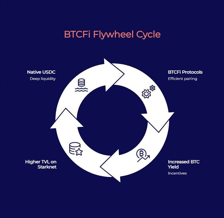 Starknet BTCFi Flywheel Cycle